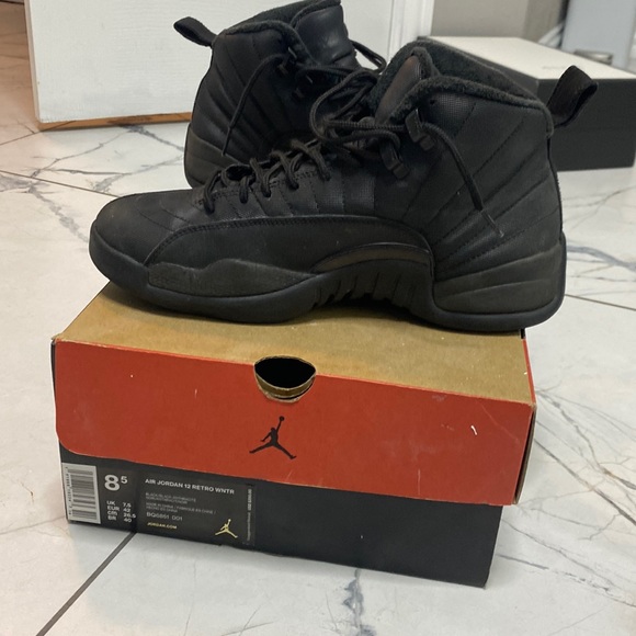 Jordan 12 retro WNTR